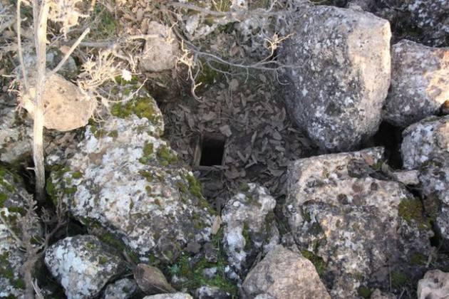 Mardin'de hastane önünde nöbet tutan 32 yaşındaki polis memuru Cengiz Engizek, 16 Ocak 2013 Çarşamba günü PKK'lı teröristlerin saldırısı sonucu şehit edildi.