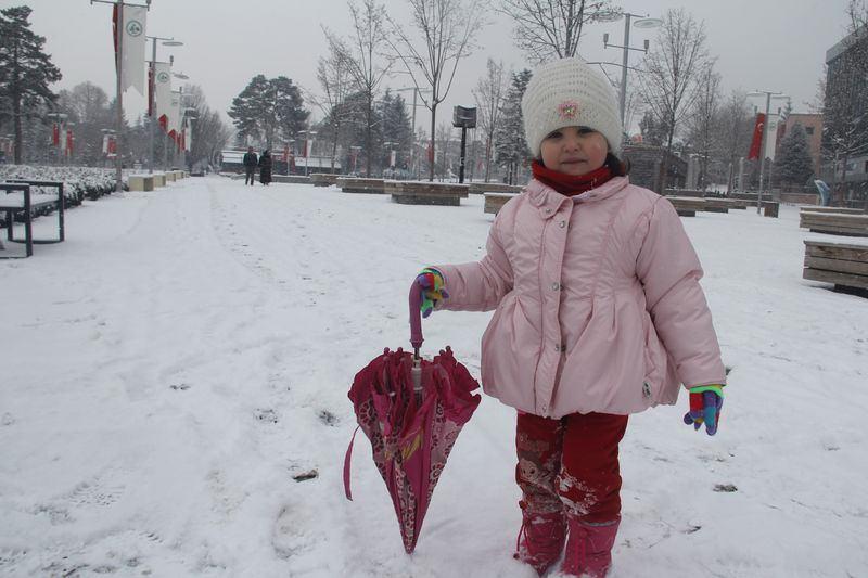 <p>BOLU</p>

