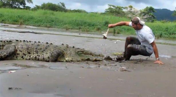 <p>Olaya şahit olan turistlerin şaşkınlık ve korku dolu sesleri arasında tekrar ayağa kalkan tur rehberi, elindeki son yemleri timsaha verdikten sonra nehir kenarından uzaklaşıyor.</p>

<p> </p>
