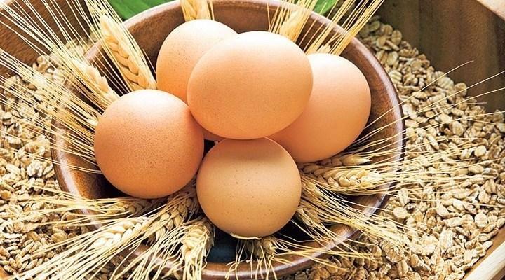 <p>Yumurtanın görünüşünün kirli ve üzerindeki küçük de olsa çatlak olmamasına dikkat etmek gerekir. </p>