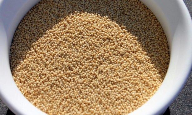 <p>Amaranth, diğer tahıllara eklendiğinde, onların eksik proteinlerini gerçekten tamamlar. </p>
