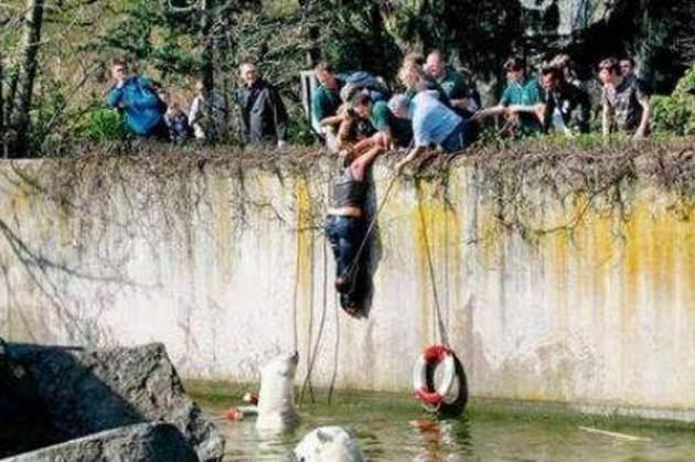  Büyük heyecan ve korkuya neden olan olayda bir kez daha suya düşen kadının yanına gelen ayılar yine can simitleri atılarak uzaklaştırılmaya çalışıldı. 