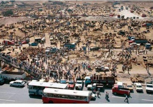 <p>Fotoğrafta bugün çok katlı binaların, metro istasyonunun yer aldığı Şirinevler'in karşısındaki Ataköy 7. ve 8. kısımların bulunduğu 1985 yılında çekilmiş fotoğraf görülüyor... Bir kurban pazarı...</p>