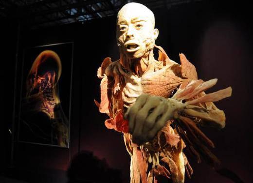 GForce Exhibitions Başkanı Arnie Geller ise İzmir gibi güzel bir şehirde bulunmaktan mutluluk duyduğunu ifade ederek, Human Body sergisinin de 21 Eylül - 1 Aralık tarihleri arasında ziyarete açık kalacağını bildirdi.