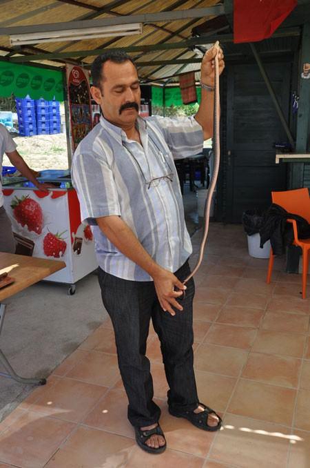 Alanya