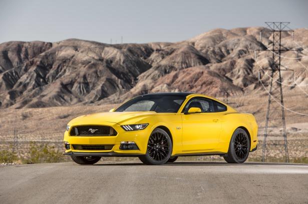 <p>MUSTANG: 17 adet</p>
