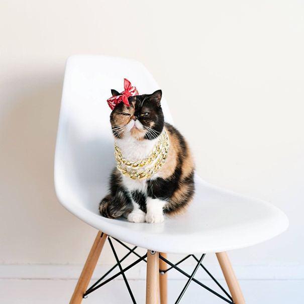 <p>Pudge</p>

