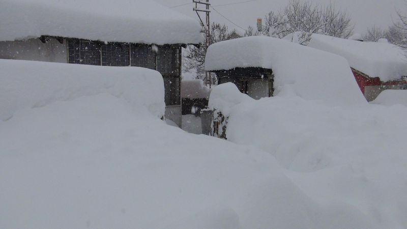 <p>BİTLİS</p>
