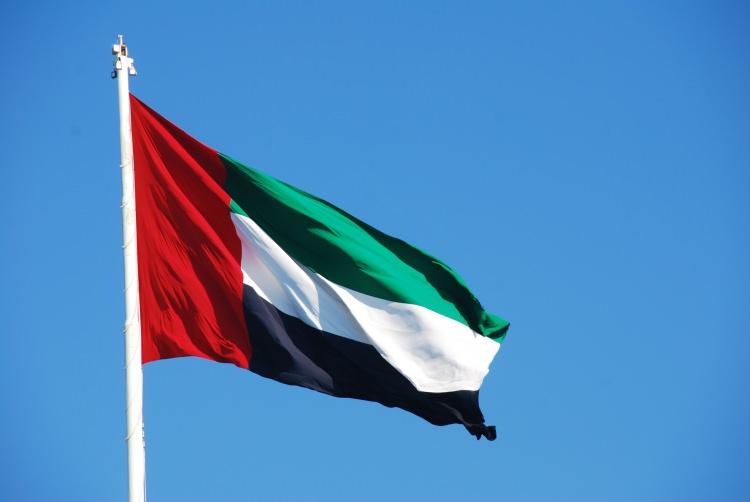 <p>3- BAE-Abu Dabi (Abu Dhabi  Investment  Authority) Abu Dabi Yatırım Otoritesi</p>

<p>Fonun Varlığı: 792 Milyar dolar</p>

<p>Kuruluş tarihi: 1976</p>

<p>Kaynak: Petrol</p>
