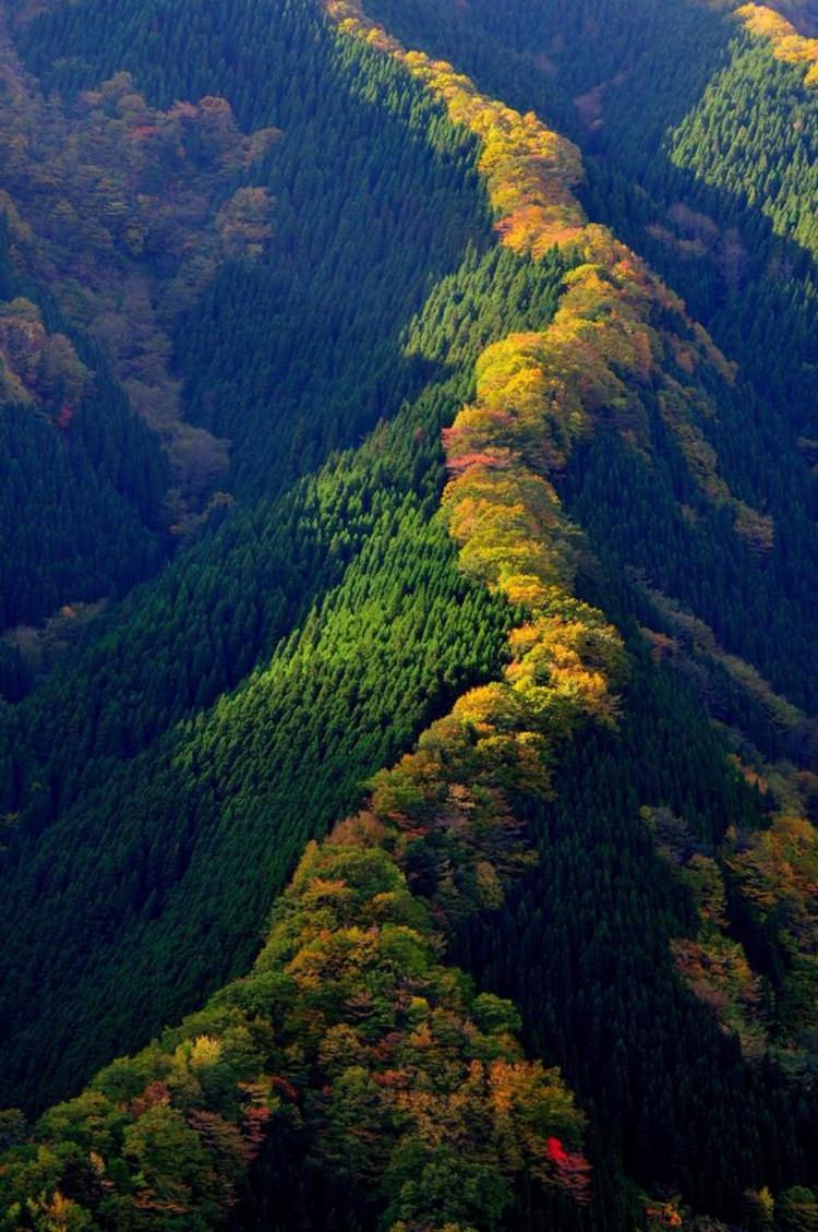 <p>Japonya</p>