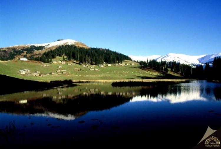 <p>Giresun<br />
<br />
Nüfusu: 444 467  <br />
Toplam otomobil sayısı: 40 002<br />
​Kaç kişiye bir otomobil düşüyor: 11,1</p>
