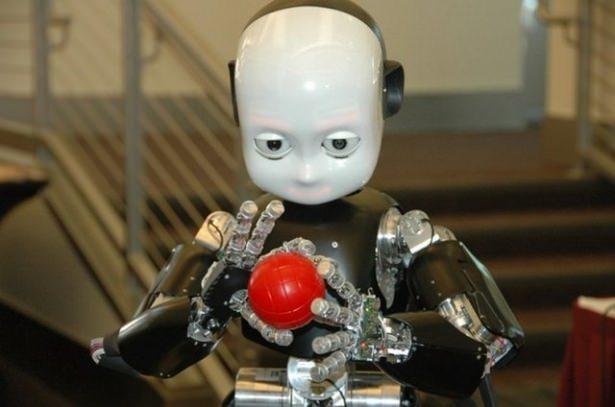 <div><strong>iCub</strong></div>

<div>iCub ileri teknoloji bir yapay zekaya sahip insansı bir robot dizaynıdır.</div>
