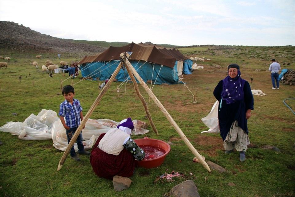 <p>Göçerlerden Mehmet Said Duman, AA muhabirine, kısa bir süre önce hayvanlarını otlatmak amacıyla yaylaya geldiklerini söyledi.</p>

<p> </p>
