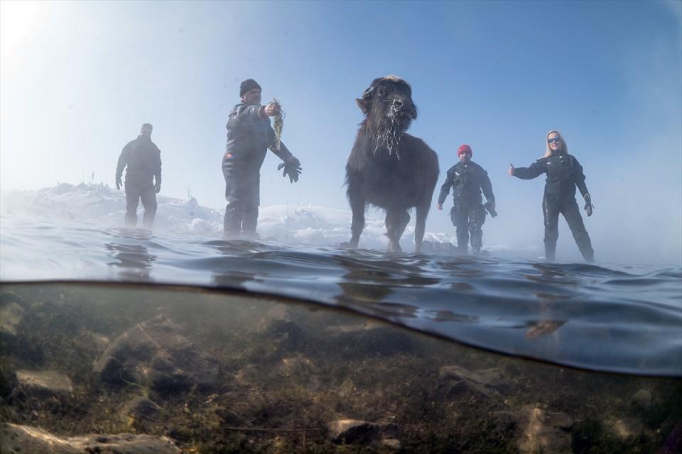 <p>Ceylan ve ekibi, hava sıcaklığının sıfırın altında 25 derece ölçüldüğü ilçede, Muradiye Şelalesi'ni besleyen kollardan biri olan Kaz Gölü Çayı'na geldi.</p>

<p> </p>
