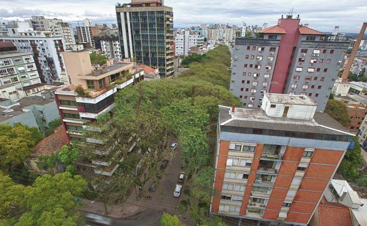 <p>500 metre uzunluğunda yüzün üzerinde ağaçla çevrilmiş bu yerin adı Rua Gonçalo de Carvalho diye geçiyor.</p>
<p> </p>
