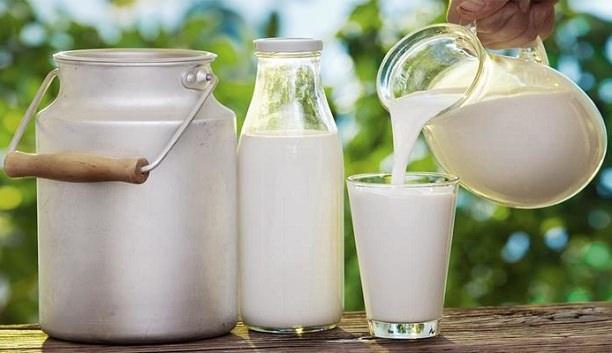 <p>O sıvı süt! Sütü sadece insanlar ve hayvanlar değil bitkilerde seviyor. Üstelik süt bitkiler için birçok açıdan faydalı.</p>
