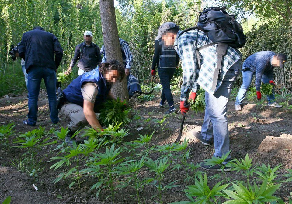 <p>İl Emniyet Müdürlüğü Uyuşturucu ile Mücadele Şube Müdürlüğü ekipleri, son bir hafta içinde iki kez arama yaptıkları Hevsel Bahçelerinde yeniden operasyon gerçekleştirmek için Narkotik Şube Müdürlüğünde toplandı.</p>

<p> </p>

