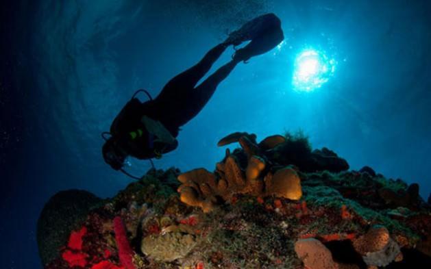 <p><strong style="line-height: 13pt;">Fotoğraflar, ana karaların her yıl birka&ccedil; santimetre ayrıştığını, adeta d&uuml;nyanın ortadan ikiye ayrıldığını g&ouml;steriyor.</strong></p>