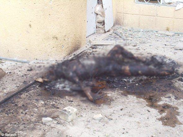 Bir internet sitesinde fotoğraflarıyla birlikte yayınlanan habere ilişkin a&ccedil;ıklama yapan Pentagon S&ouml;zc&uuml;s&uuml;, 'Askerlerimizden ummadığımız bir şey' ifadesini kullandı.