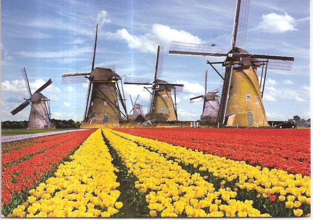 <p><strong>13. Hollanda</strong><br />
Kişi başı gelir: 45.955 dolar</p>