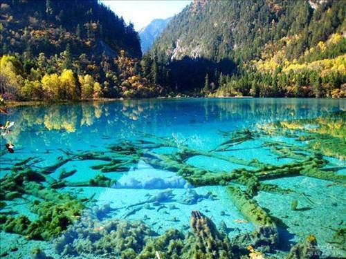 Kristal turkuvaz göl, Jiuzhaigou Ulusal Parkı, Çin
