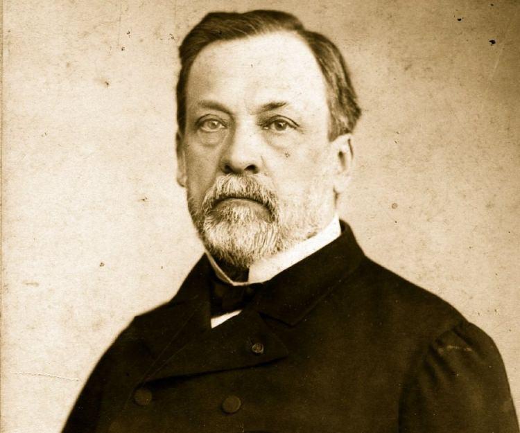 <p><strong>Louis Pasteur</strong></p>
