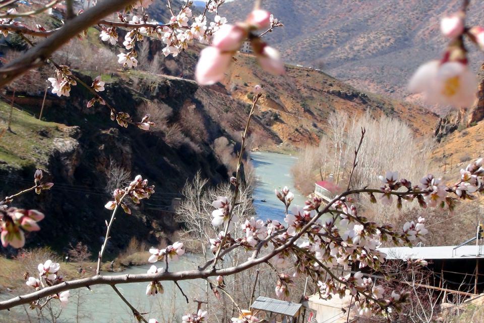 <p>Baharın yaşanmaya başladığı Tunceli'de, merkeze 70 kilometre uzaklıktaki Ovacık ilçesinde ise kış mevsiminin güzellikleri yaşanmaya devam ediyor. </p>
<p> </p>