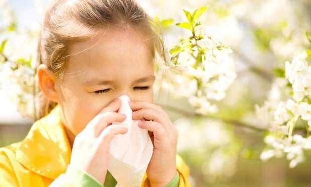 <p>Akçay; bahar alerjisinin çocukların akademik performansını ciddi oranda etkilediğini, burunlarının tıkanmasına rağmen kokuya karşı aşırı hassas olduklarını söyledi.</p>
