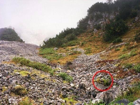 <p>Evet, tam olarak o noktadan bizi izliyor!</p>
<p> </p>