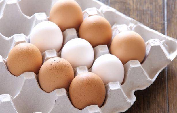 <p>Yumurta, kaliteli protein kaynağı olan mükemmel bir yiyecektir. </p>
