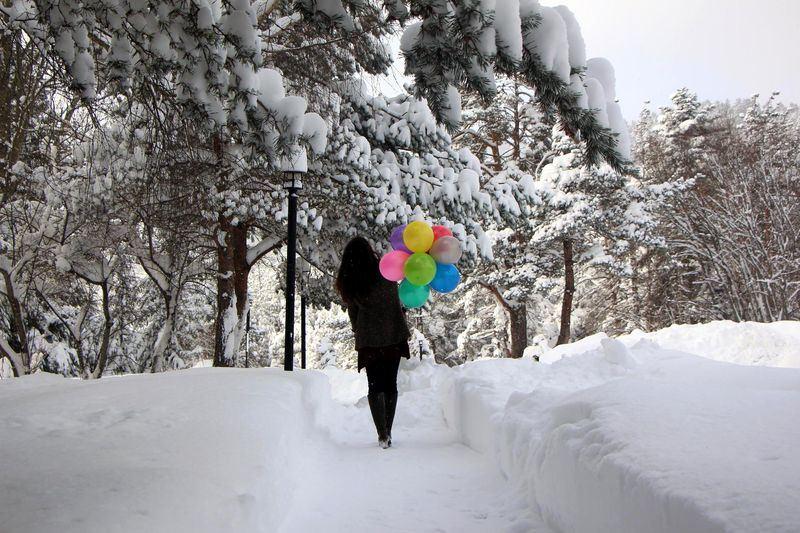 <p>BOLU</p>
