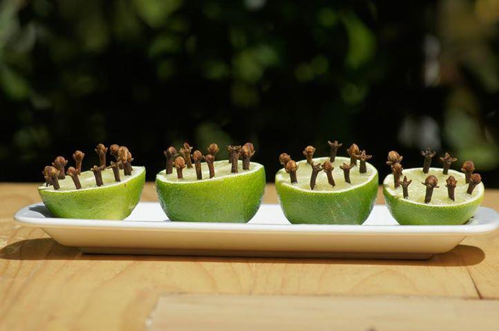 <p>Limonun üzerine karanfil batırarak sineklerin gelmesini engelleyebilirsiniz.</p>
