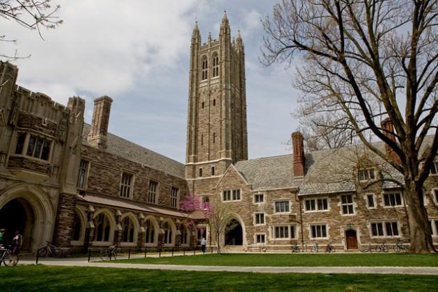 6. Princeton Üniversitesi: ABD 