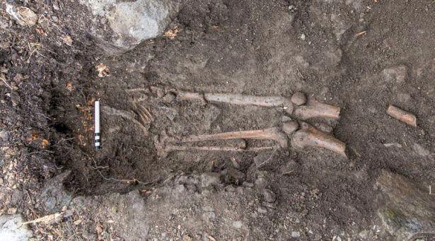 <p>Devrilen ağacın 215 yaşında bir kayın olduğu tespit edilirken kökün altında kalan ve köke dolanmış halde bulunan iskeletin çok daha yaşlı olduğu ortaya çıktı.</p>

<p>Araştırmacılara göre 20 yaşını geçmemiş olan iskeletin sahibi, göğüs kafesi ve el kemiklerinde görülen izlerden anlaşılacağı üzere bıçaklanarak öldürülmüş; ayrıca arkeologlar mezar bölgesinin de resmi bir Hristiyan mezarı olduğunu ifade ediyor.</p>
