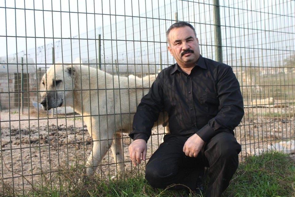 <p>Balıkesir'de yetiştirilen "Karabaş" ve "Akbaş" cinsi köpekler dünyanın birçok ülkesinde yaban hayatının korunması için kullanılıyor.</p>