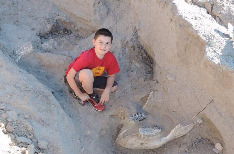 <p>ABD’nin New Mexico Eyaleti’nde yaşayan 9 yaşındaki June Sparks, yaptığı sıradan bir yürüyüşte 1.2 milyon yıllık bir fosil keşfetti. Ağabeyi ile yürüyüşte şans eseri bilim dünyasına önemli bir bulgu kazandıran Sparks, ABD basınının büyük ilgisini çekti!</p>

<ul>
</ul>
