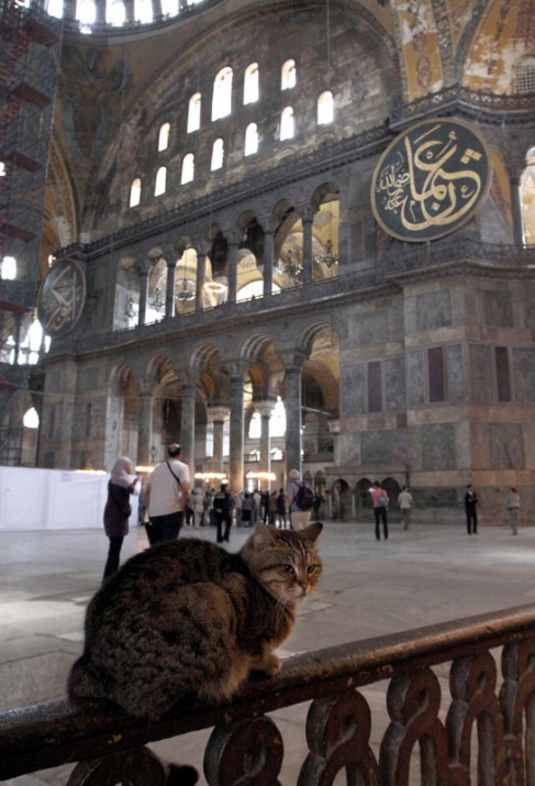 Ayasofya'da absidin üstünde yer alan altın ve gümüş kullanılarak işlenen kucağında çocuğunu taşıyan Hz. Meryem mozaiği görenleri büyülüyor.