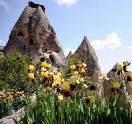 <p>Nevşehir</p>
