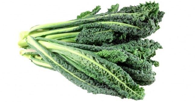 <p>- Vücud için yeterli lif tüketimine destek olarak kabızlığı önler</p>