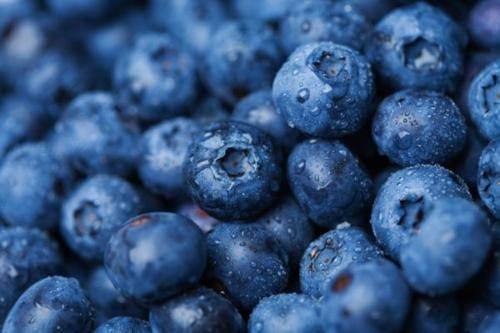 <p><strong>Maviyemiş: </strong>İngilizce adı blueberry dir. Bu değer hem ekonomik kazanç hem de sağlık meyvesi olduğundadır.</p>
