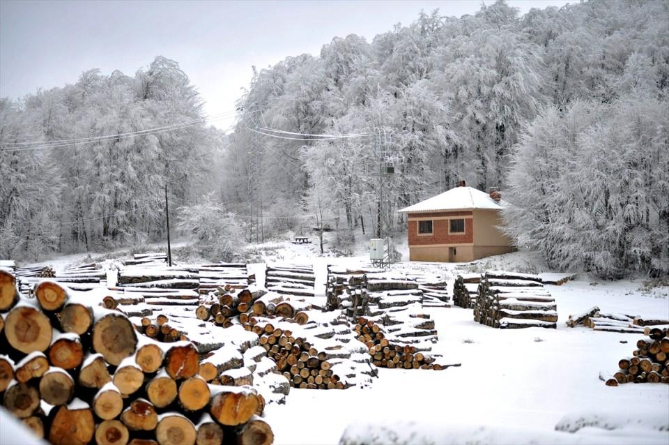 <p>BURSA</p>

