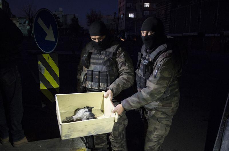 <p>Diyarbakır'ın Sur ilçesinde vatandaşların can ve mal güvenliğini sağlamak için PKK'lı teröristlere yönelik operasyon sırasında enkaz altında kalan yaralı kediyi güvenlik güçleri kurtardı.</p>
<p></p>