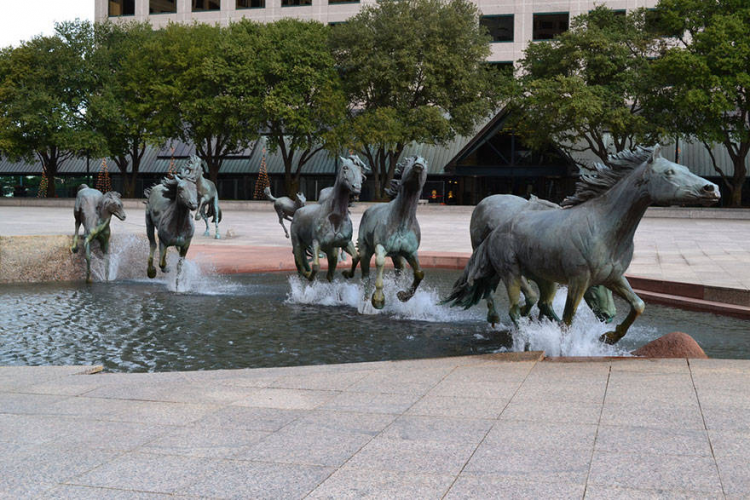 <p>'Las Colinas'ın Yabani Atları', Teksas, ABD</p>
