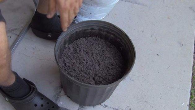 <p>Videoyu çeken kişi, sadece bir saksı, biraz toprak ve bozulmak üzere olan bir domatesle nasıl yeni domatesler elde edebileceğimizi gösteriyor. </p>