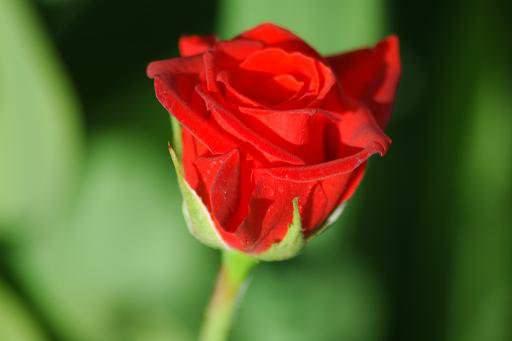 <p>3- Zalim idareciler.</p>

<p> </p>
