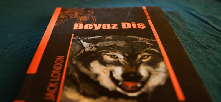 <p><strong>8- Beyaz Diş</strong></p>
