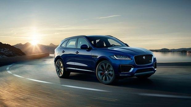 <p> JAGUAR - 431</p>
