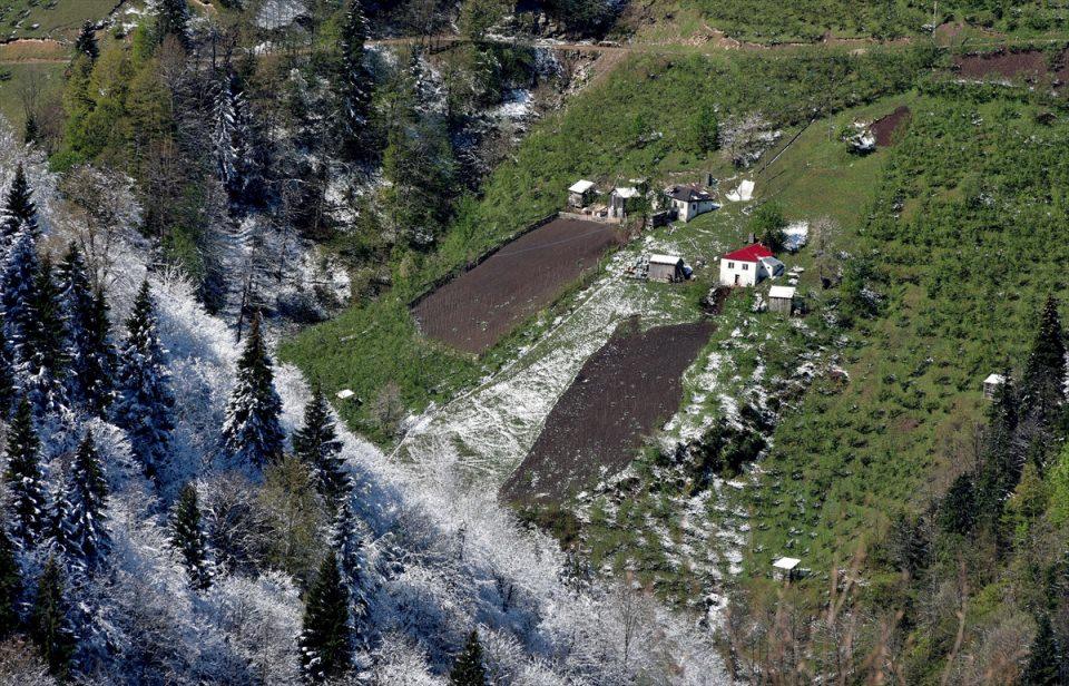 <p>Yöre halkı, özellikle de gurbetteki Karadenizlilerin dostlarıyla hasret giderdiği yayla şenlikleri ile hem geleneklerin yaşatılmasını hem de dayanışmayı sağlıyor.</p>
<p> </p>