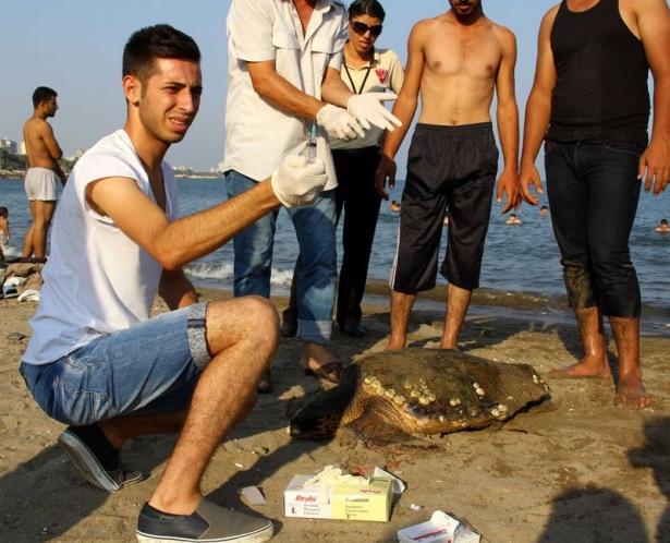 <div>Bu arada, iki gün önce de Erdemli ilçesindeki sahilde bir caretta caretta ölü bulunmuştu.</div>
<div> </div>