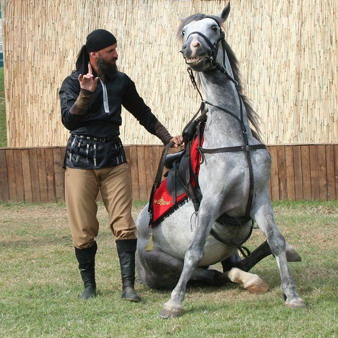 <p><strong>BU SEVDA NASIL BAŞLADI?</strong></p>

<p> </p>

<p>Küçük yaşlardan itibaren atlara âşıktım. Bu yüzden hayatımın her safhasında atlara büyük yer ayırdım. Uzun yıllar Rusya’da yaşadım. Bu dönemde dans yapıyor, gösteriler düzenliyor, eğitimler veriyordum. Bir Moskova turnesinde gösteri yapan atları görünce içimdeki sevda depreşti. Sekiz yıllık dans kariyerimi tek celsede silip, sirke geçtim. Atlarla ilgili eğitimler aldım, gösterilere katıldım, nihayetinde orada çalışmaya başladım.</p>
